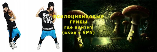твердый Арсеньев