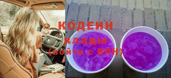 твердый Арсеньев
