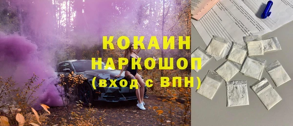 твердый Арсеньев