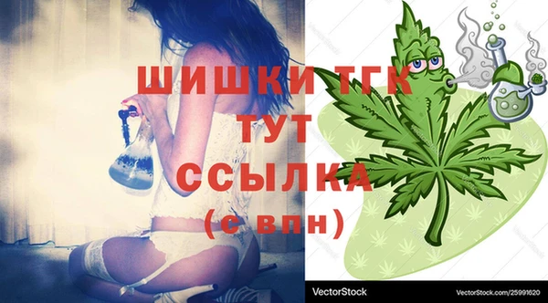 твердый Арсеньев