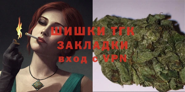 твердый Арсеньев