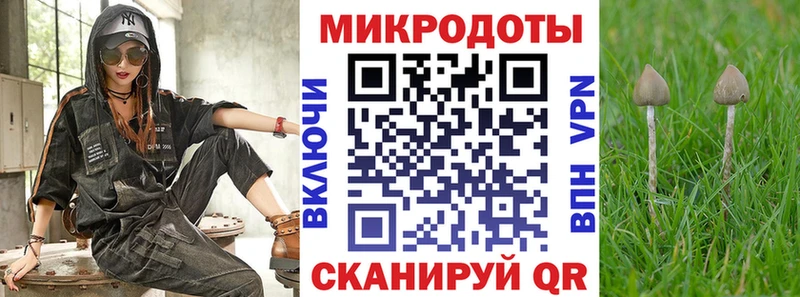 где купить Павлово Галлюциногенные грибы GOLDEN TEACHER