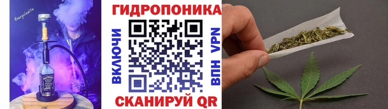 купить наркотики цена  Павлово  Бошки Шишки семена 